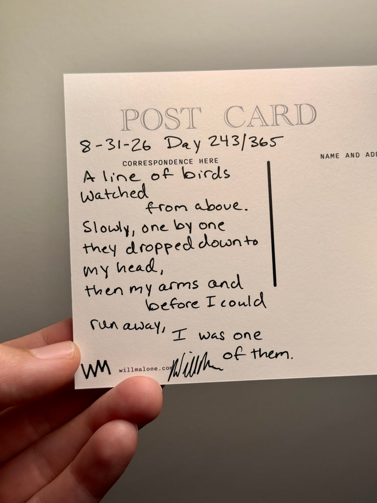 Day 243/365 A Dream About Birds