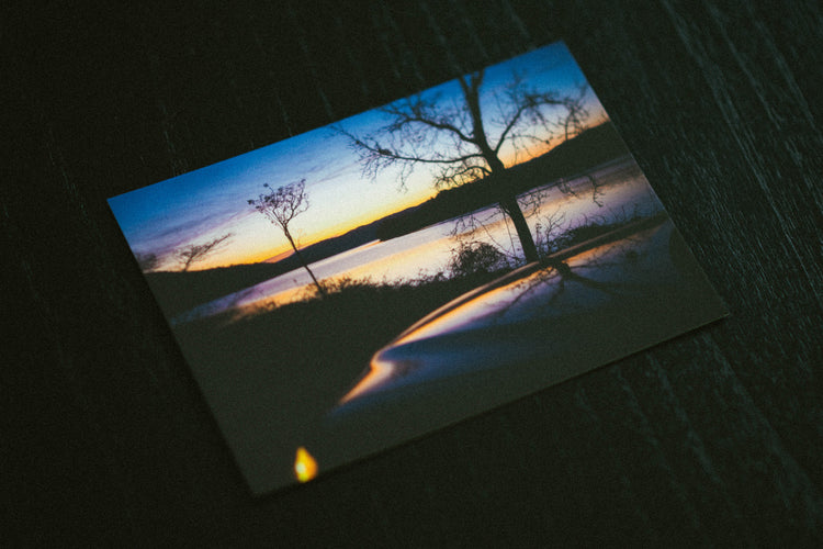 Double Negative 2025 Postcard Pack (Variety Pack)