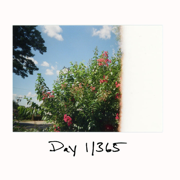 Day 1/365 "First of the Roll"