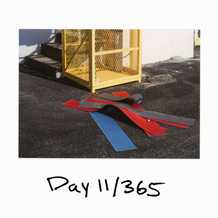 Day 11/365 "Pretenderizing"