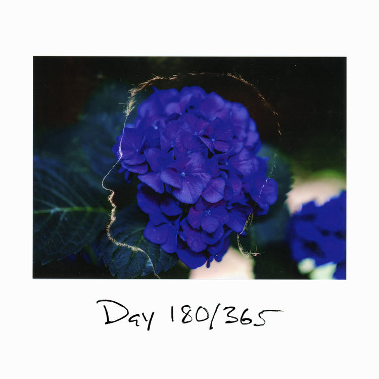 Day 180/365 Vacation Days