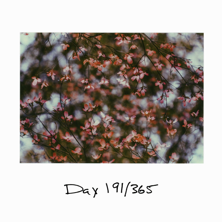 Day 191/365 Human Blood