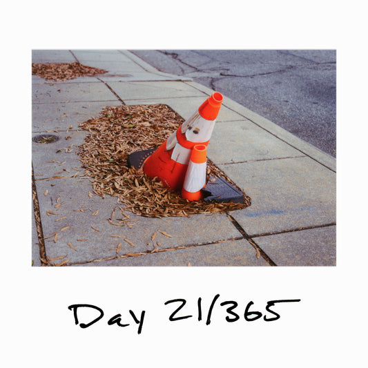 Day 21/365 The Forecast