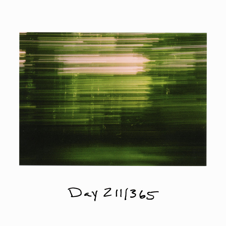 Day 211/365 The Great Fear