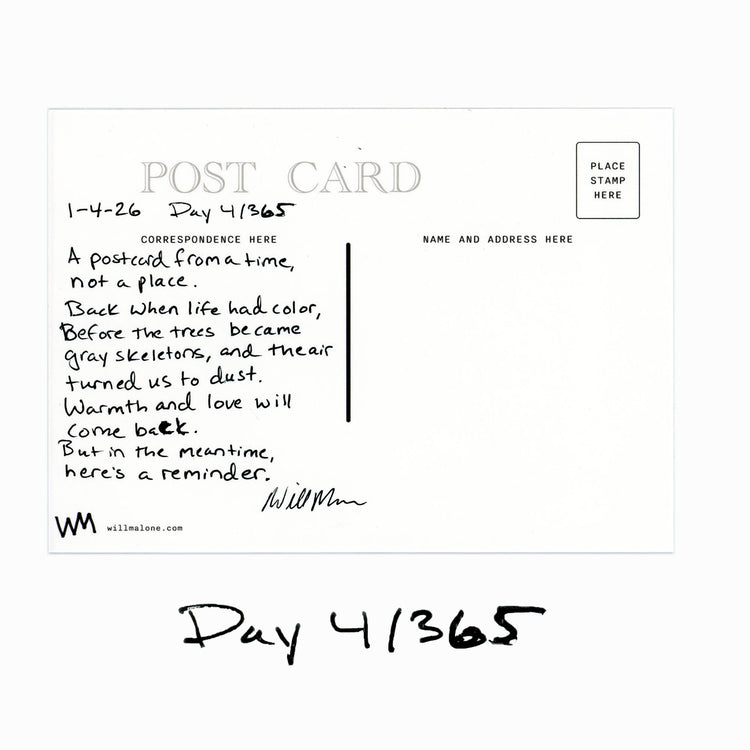 Day 4/365 "A Reminder"