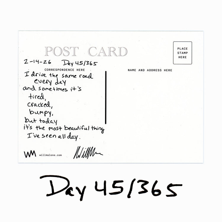 Day 45/365 The Same Road