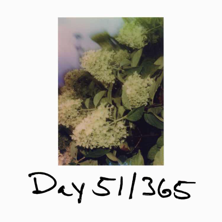 Day 51/365 According to Mr. Sedgwick