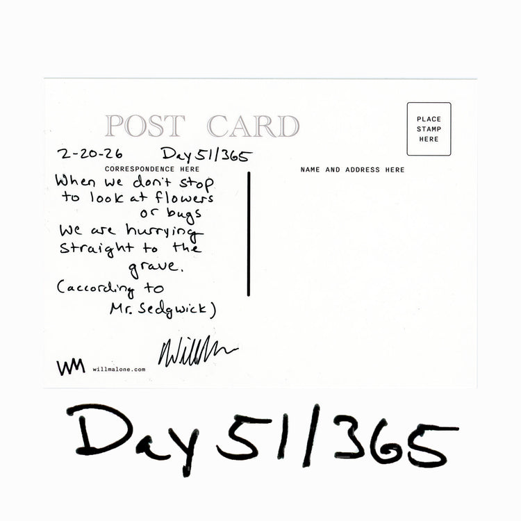 Day 51/365 According to Mr. Sedgwick