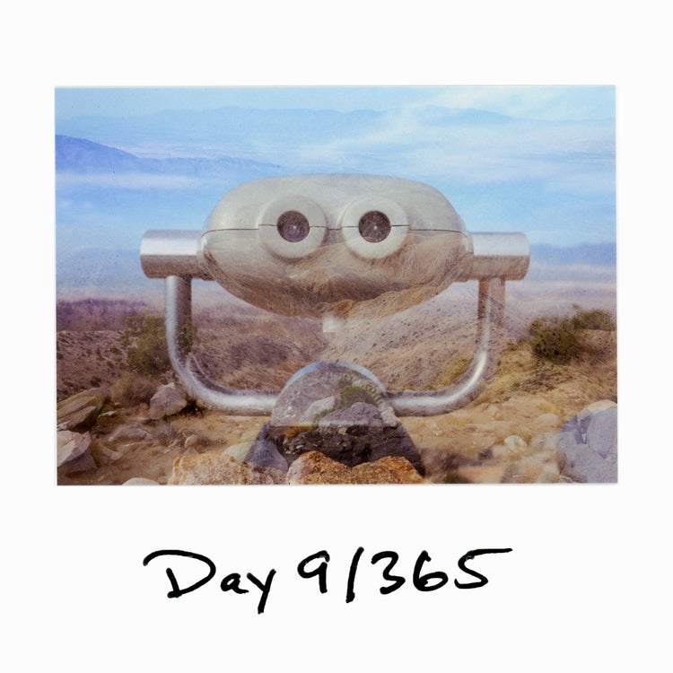 Day 9/365 "So Stupid"