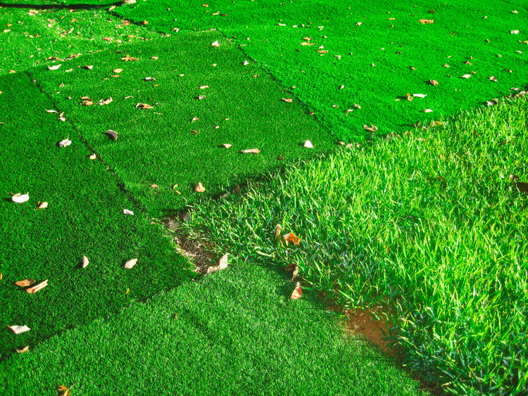 Nature Photography 2