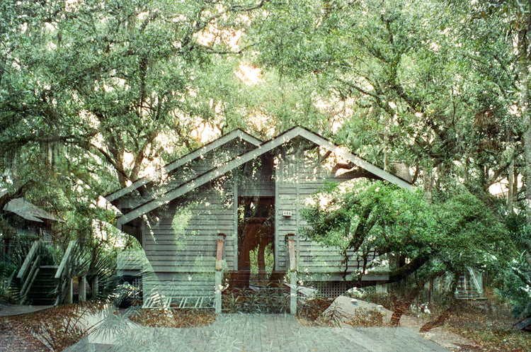 Beach House