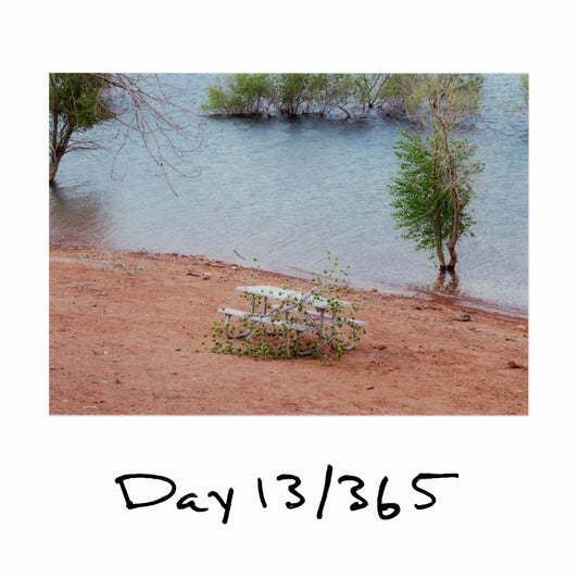 Day 13/365 "The Most Contagious Disease"