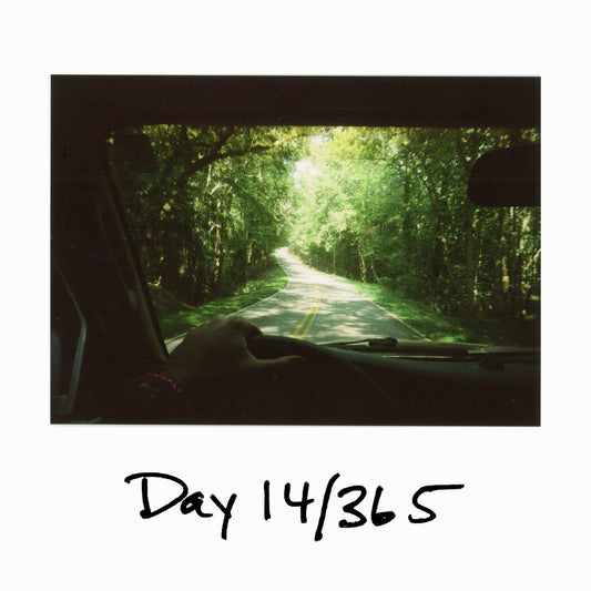 Day 14/365 "Asleep at the Wheel"