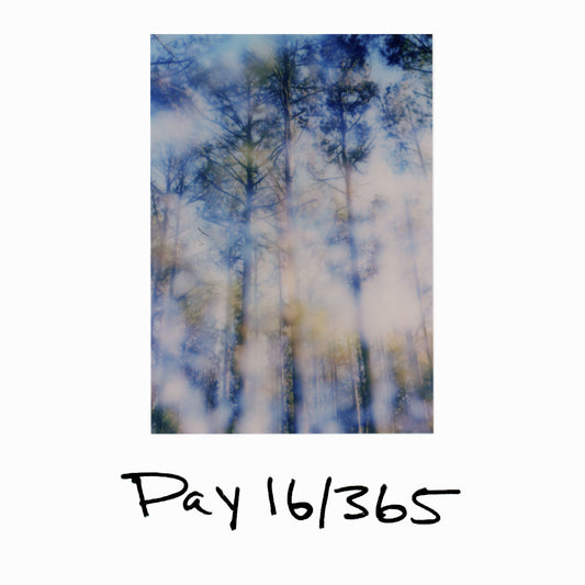 Day 16/365 "Sound Proof Room"