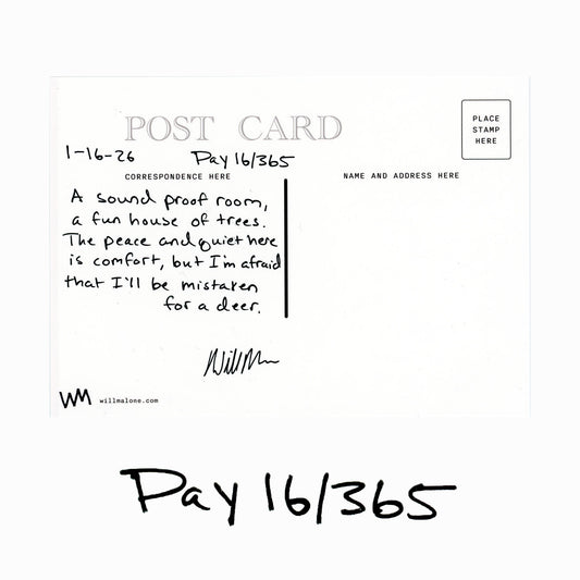 Day 16/365 "Sound Proof Room"