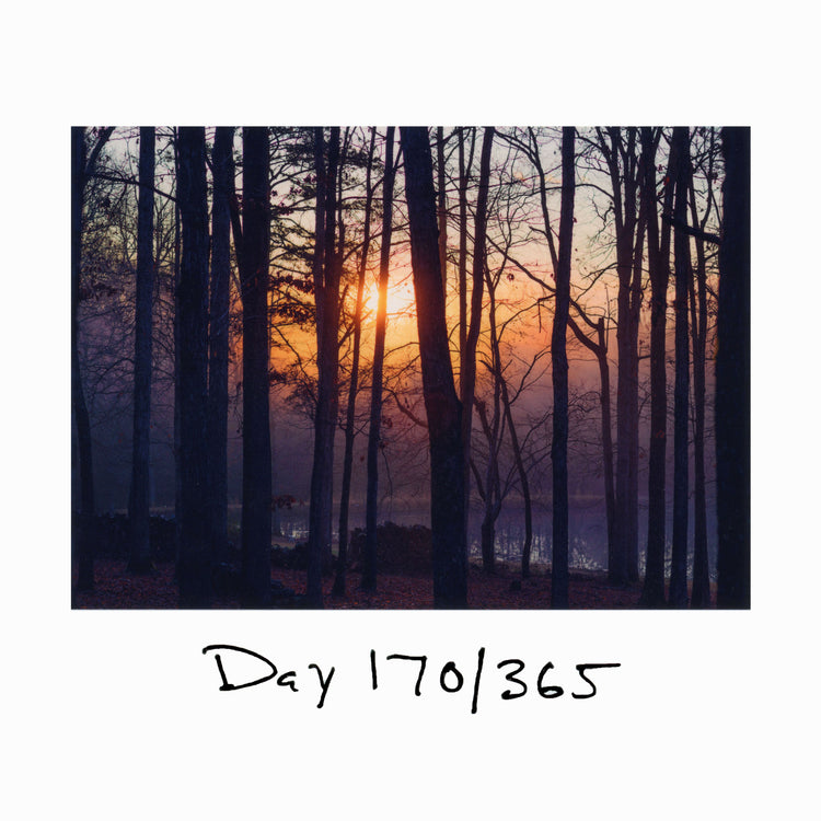 Day 170/365 Sorry