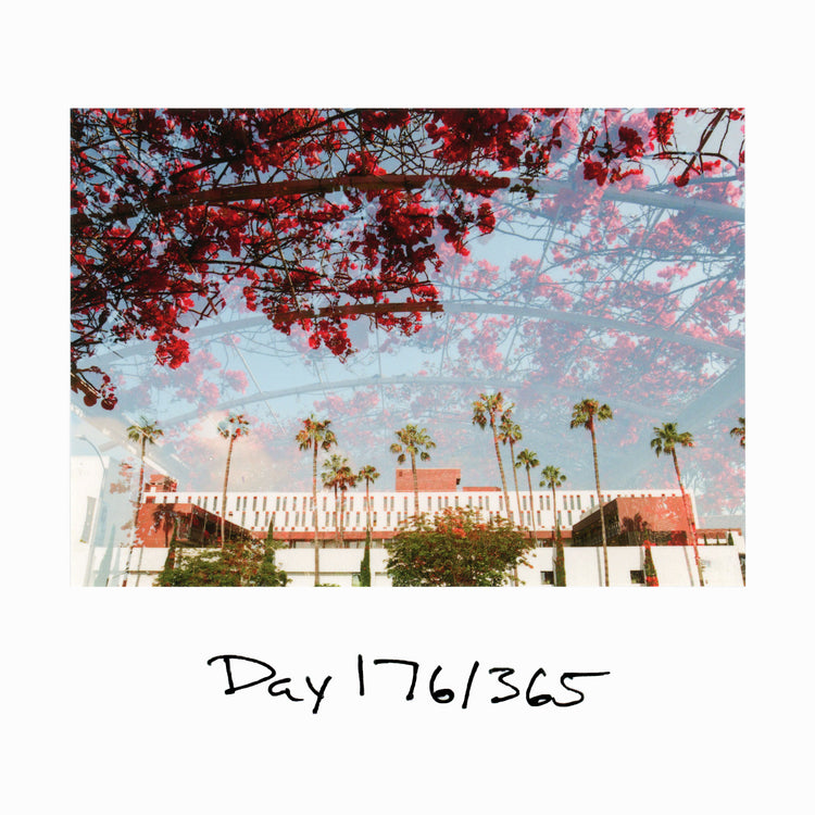 Day 176/365 Grocery Store Parking Lots