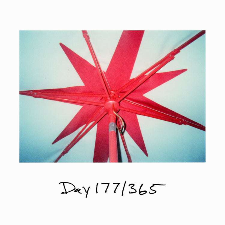 Day 177/365 Firework Season