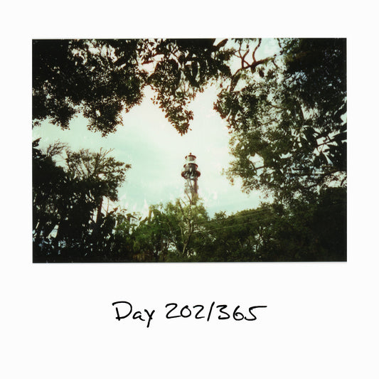 Day 202/365 The Tiny Life