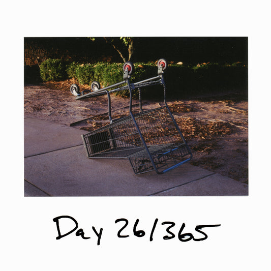 Day 26/365 Recalibrate