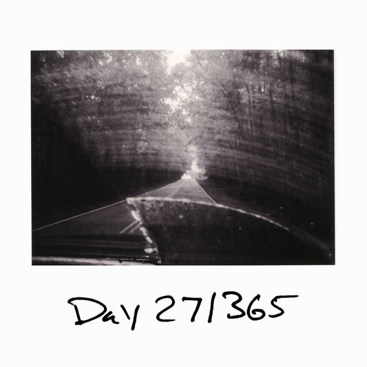 Day 27/365 The Ice Storm