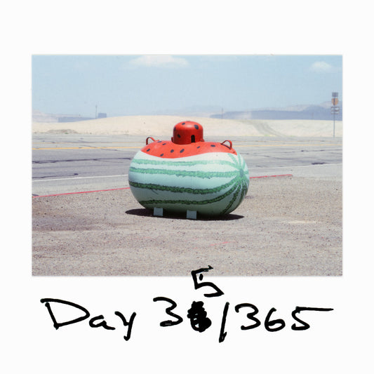 Day 35/365 Screaming