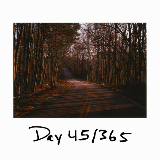 Day 45/365 The Same Road