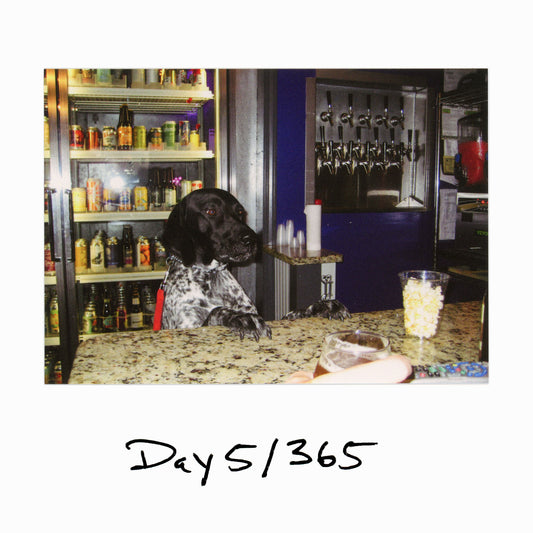 Day 5/365 "Dog in a Bar"