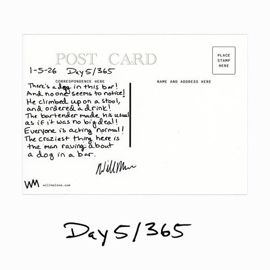 Day 5/365 "Dog in a Bar"