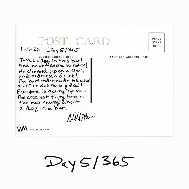 Day 5/365 "Dog in a Bar"