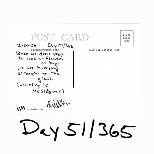 Day 51/365 According to Mr. Sedgwick