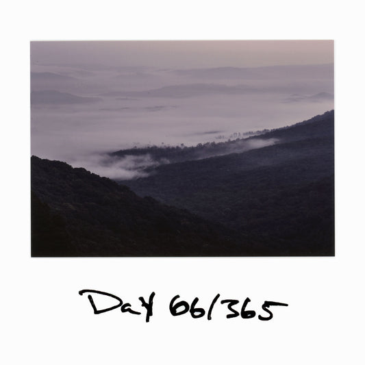 Day 66/365 Wave of Fog