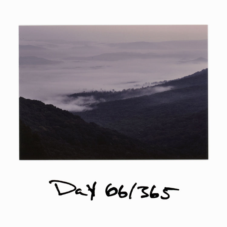 Day 66/365 Wave of Fog