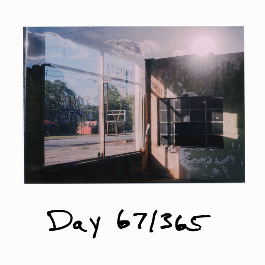 Day 67/365 Sunlight