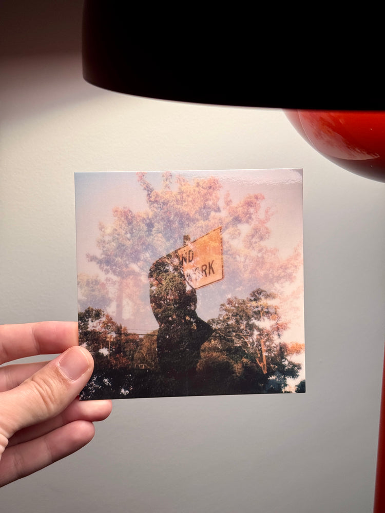 Day 248/365 Road Work (Polaroid Postcard)