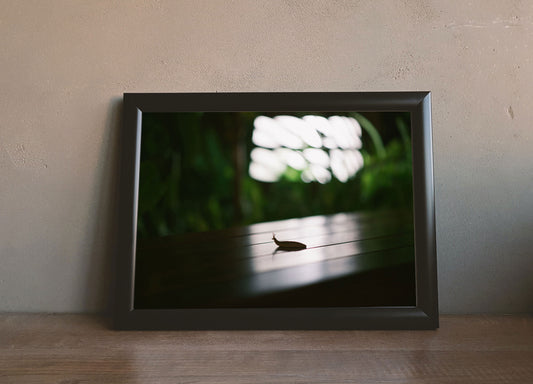 Slug