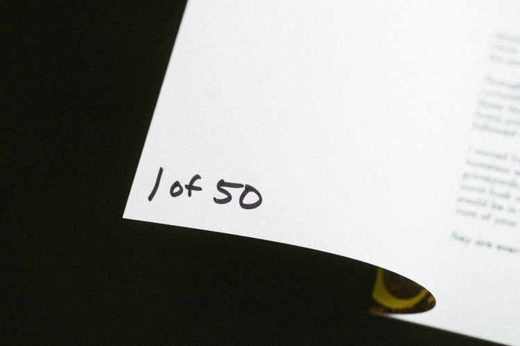 [US only] ADD TO CART (a shopping cart zine)